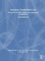 American Constitutional Law