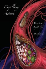Capillary Action
