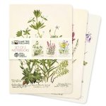 Royal Botanic Gardens Edinburgh Set of 3 Standard Notebooks