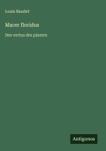 Macer floridus