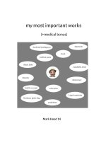 my most important works (+medical bonus)