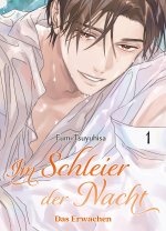 Im Schleier der Nacht: Das Erwachen 01 (Im Schleier der Nacht 03)