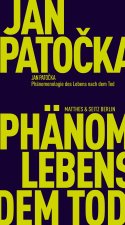 Phänomenologie des Lebens nach dem Tod
