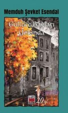 Güllüce Baglari Yolunda