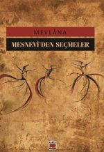 Mesneviden Secmeler