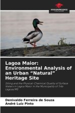 Lagoa Maior: Environmental Analysis of an Urban 
