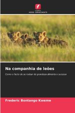 Na companhia de leões