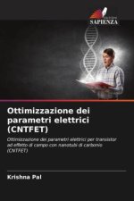 Ottimizzazione dei parametri elettrici (CNTFET)