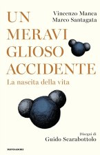 meraviglioso accidente. La nascita della vita