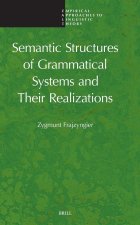 Semantic Structures of Grammatical Systems and Their Realizations
