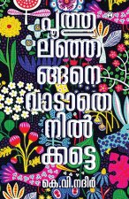 Poothulanjangane Vadathe Nilkkatte