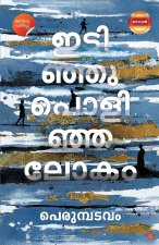 Idinju Polinja Lokam