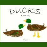 Ducks