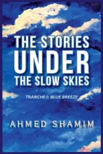 The Stories Under The Slow Skies - Tranche I