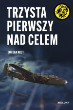 Trzysta pierwszy nad celem. Żółty Tygrys