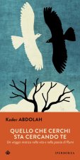 Quello che cerchi sta cercando te. Un viaggio mistico nella vita e nella poesia di Rumi