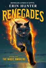 RENEGADES01 MAGIC AWAKENS