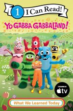 YO GABBA GABBALAND WHAT WE LEARNED TOD