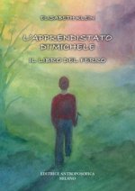 apprendistato di Michele. Il libro del ferro