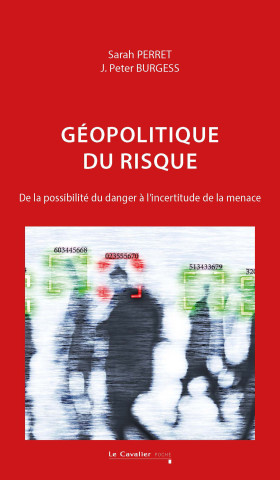 Géopolitique du risque