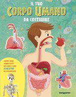 tuo corpo umano da costruire