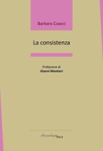 consistenza