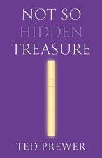 Not So Hidden Treasure