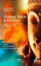 Amour, force & lumière, Le chamanisme expliqué par les esprits, Tome 2