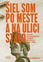 Šiel som po mesta a na ulici stálo