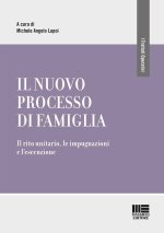 nuovo processo di famiglia. Il rito unitario, le impugnazioni e l'esecuzione