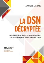 La DSN décryptée