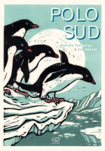 Polo Sud