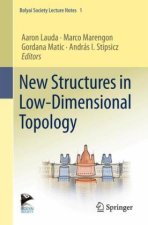 New Structures in Low-Dimensional Topology
