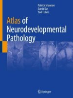 Atlas of Neurodevelopmental Pathology