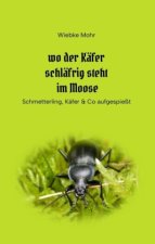 Wo der Käfer schläfrig steht im Moose