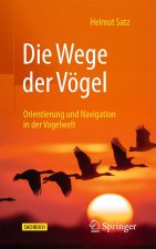 Die Wege der Vögel