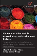 Biodegradacja barwników azowych przez unieruchomione drozdze