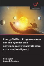EnergyBidSim: Prognozowanie cen dla rynków dnia nastepnego z wykorzystaniem sztucznej inteligencji