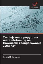 Zmniejszenie popytu na metamfetamine na Hawajach: zaangazowanie 