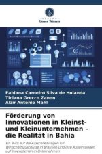 Förderung von Innovationen in Kleinst- und Kleinunternehmen - die Realität in Bahia