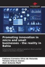 Promoting innovation in micro and small businesses - the reality in Bahia