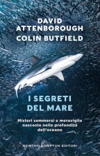segreti del mare. Misteri sommersi e meraviglie nascoste nelle profondità dell'oceano