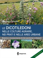 dicotiledoni nelle colture agrarie. Botanica e riconoscimento