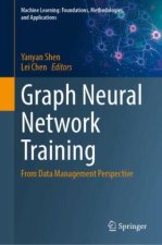 Graph Neural Network Training