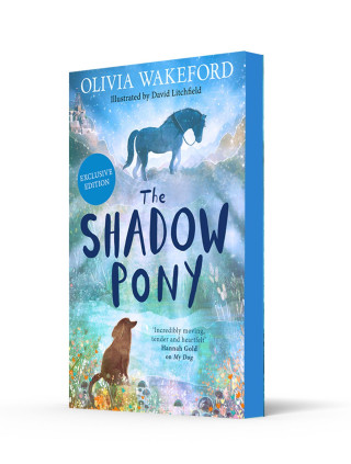 Shadow Pony