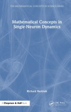 Mathematical Concepts in Single-Neuron Dynamics
