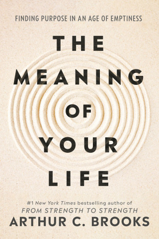 Meaning of Your Life - -