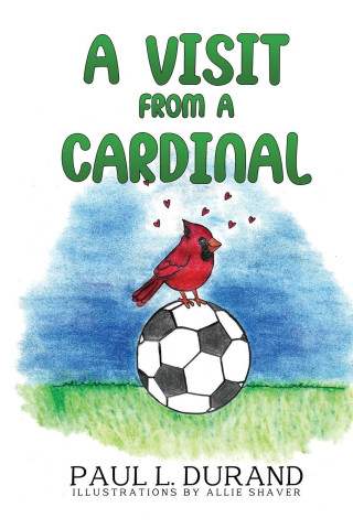 Visit From A Cardinal