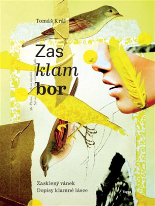 Zasklambor