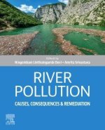 River Pollution: Causes, Consequences and Remediation